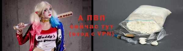 стаф Абаза