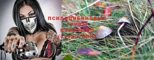 PSILOCYBIN Абдулино