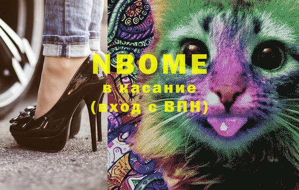 ECSTASY Алзамай