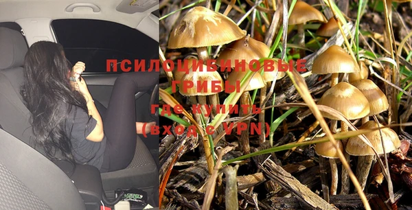 скорость Абинск
